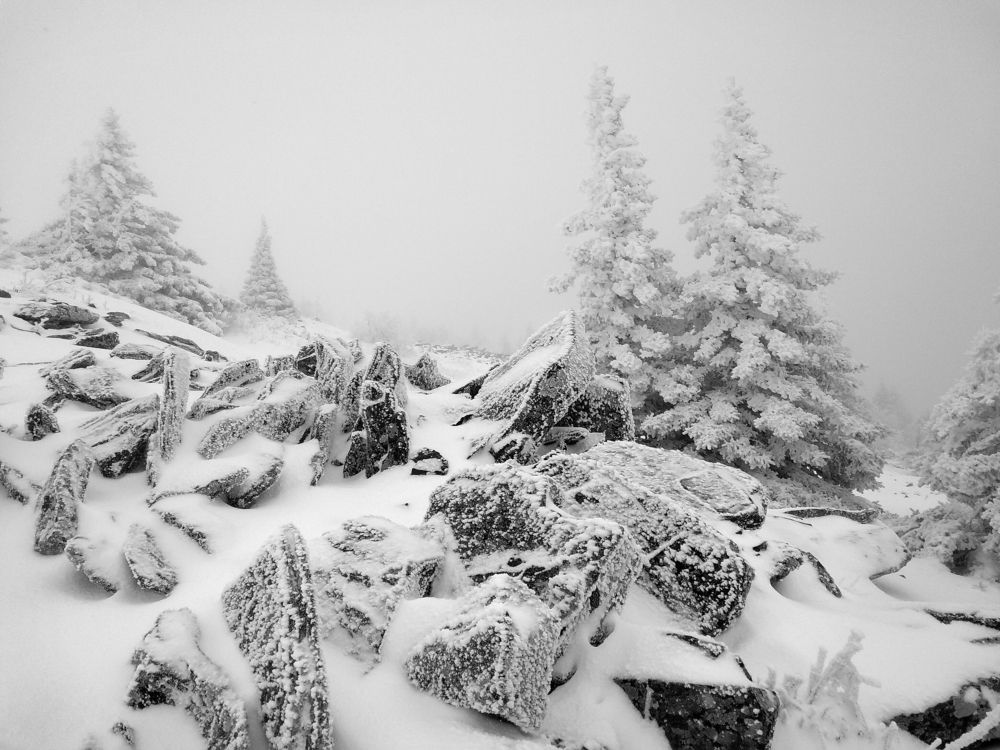 Фотография автора Кухта Мария