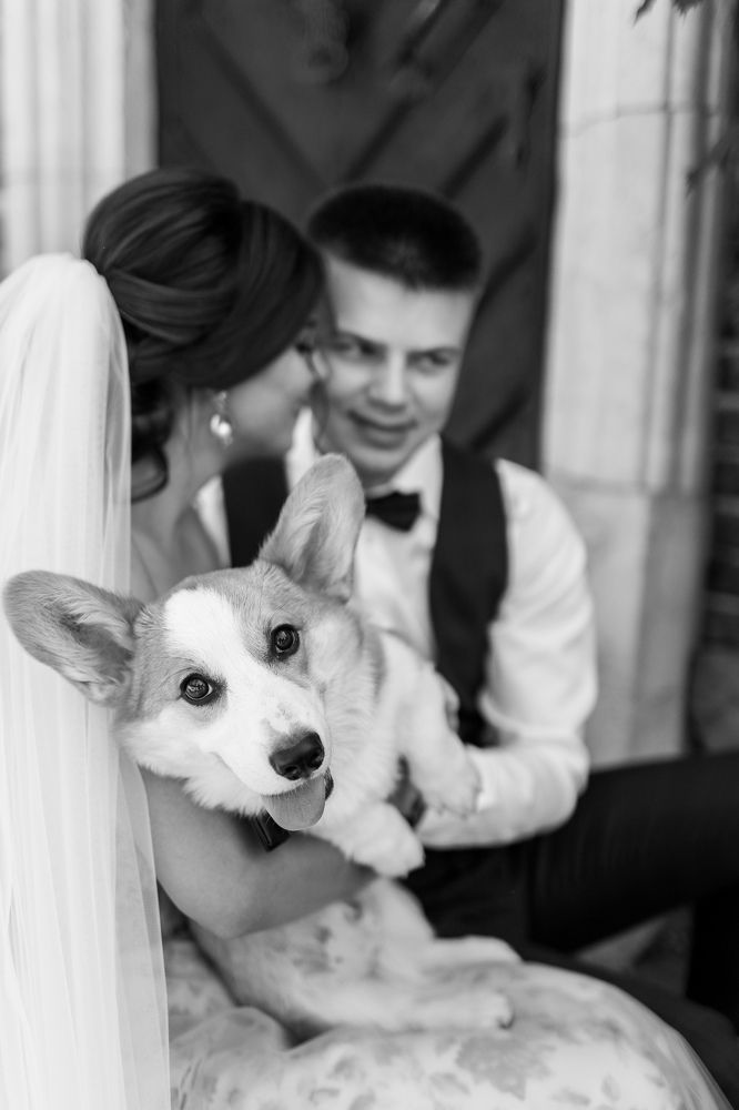 Photograph by Красильников Евгений Николаевич