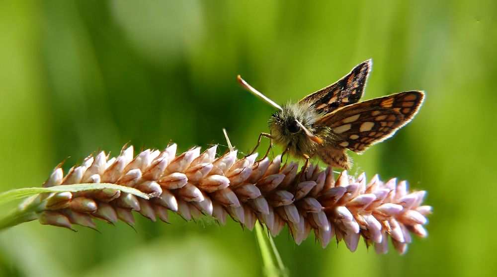 Photograph by Алексей Чернов