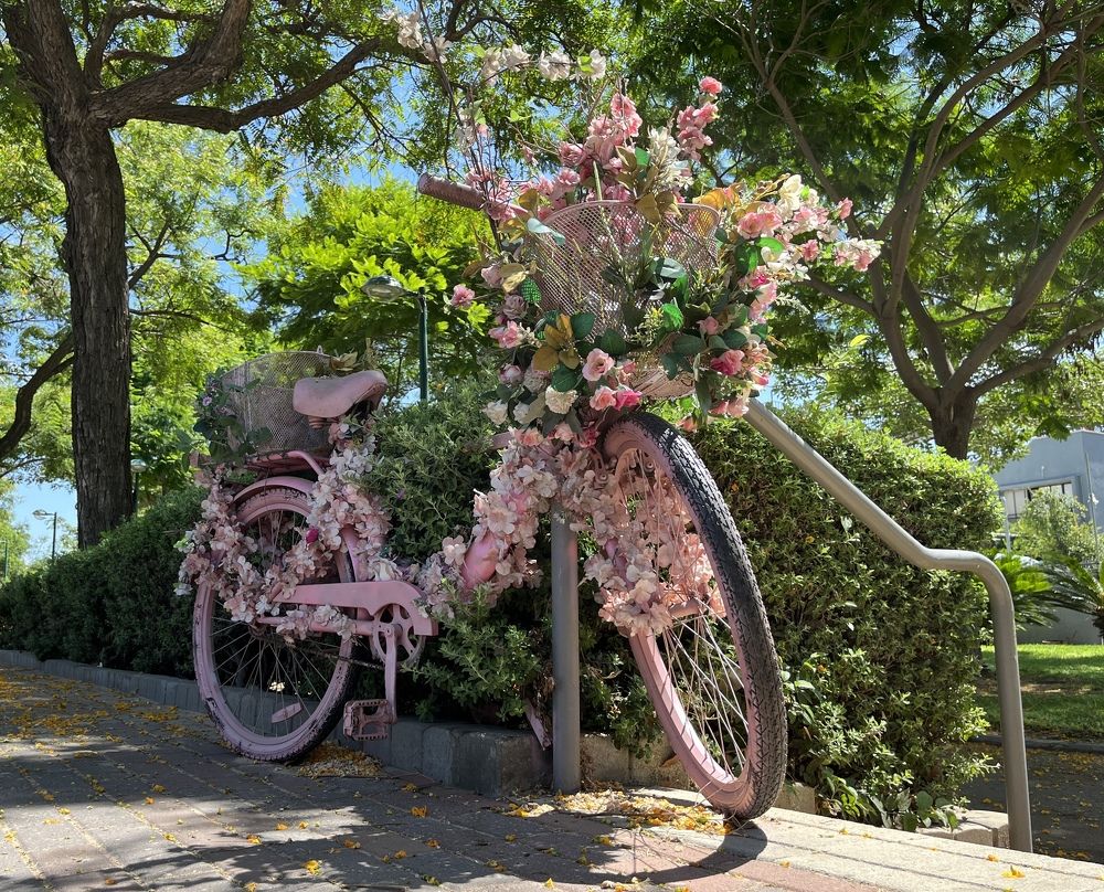 Photograph by Uri Yerochov