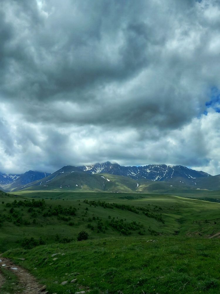 Photograph by Наталья