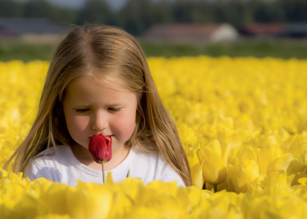 Photograph by Ray Snider