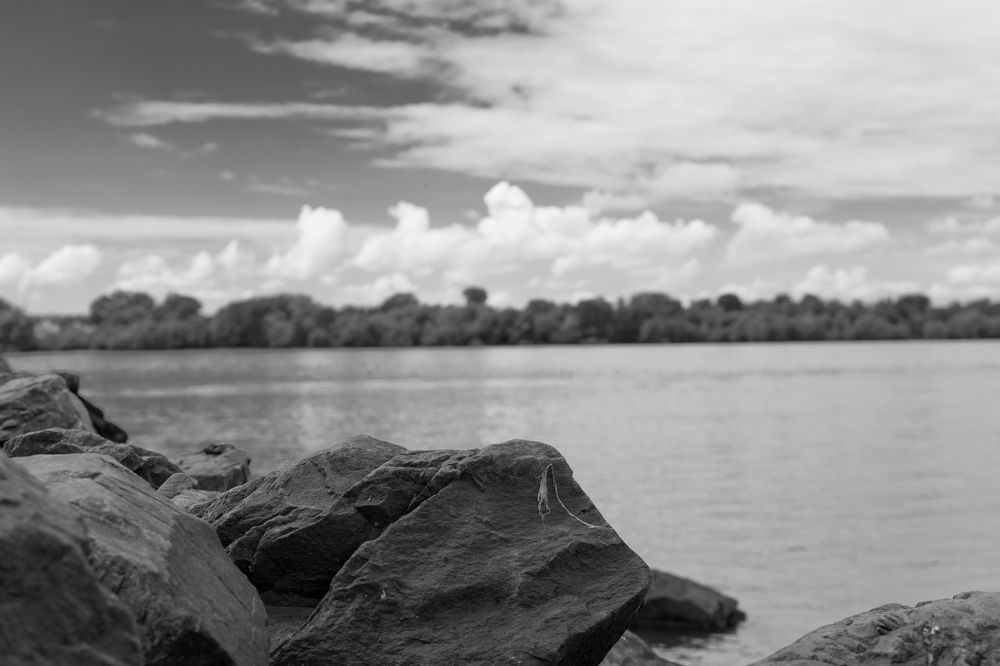 Photograph by Анна Конорова