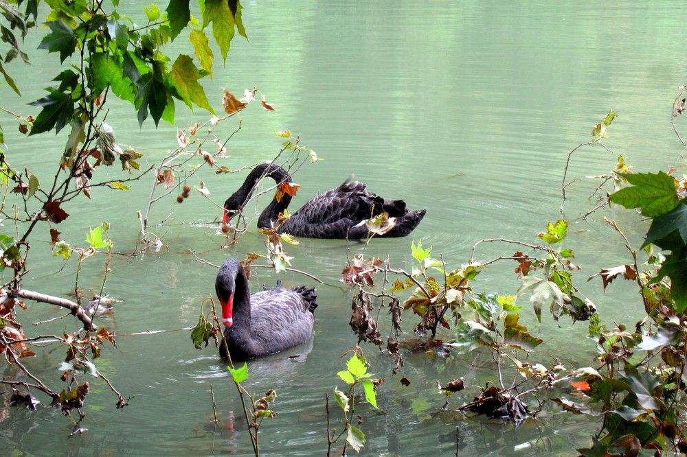 Photograph by Ольга Березовская