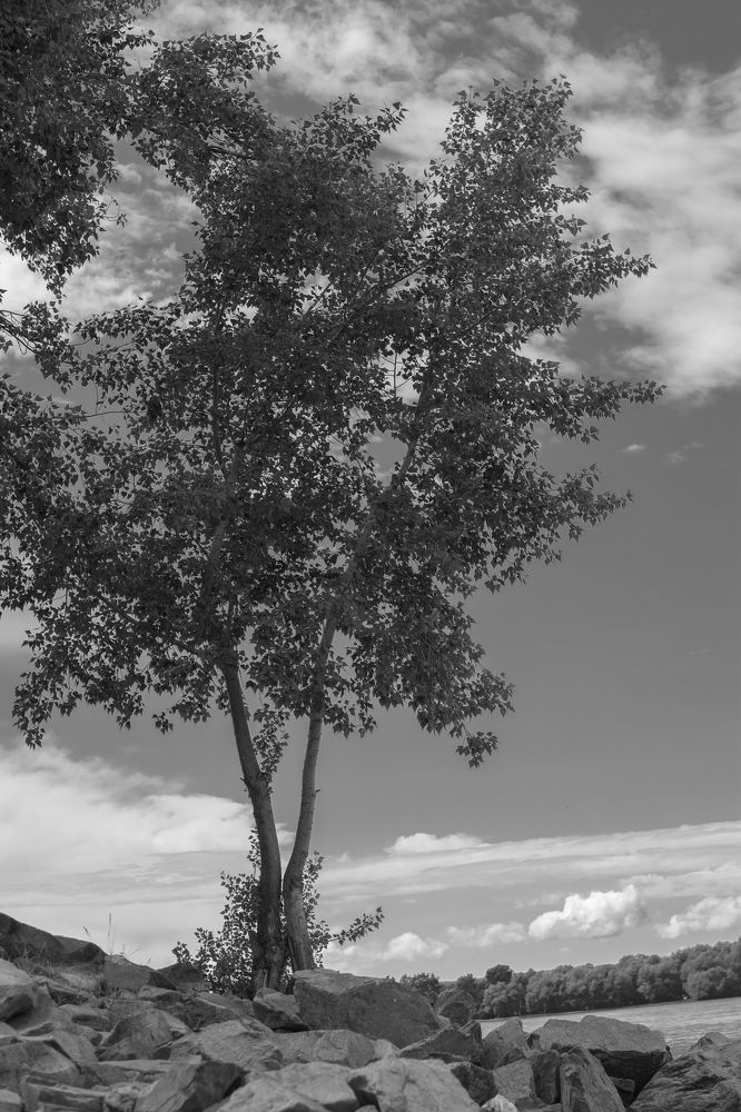 Photograph by Анна Конорова