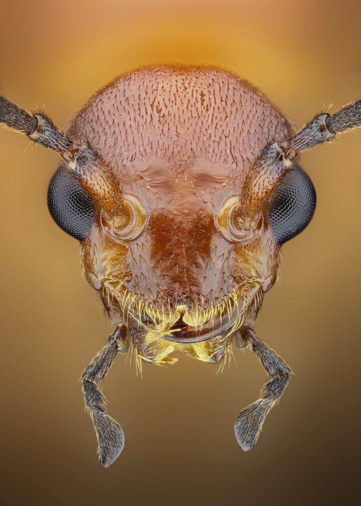 Photograph by Rastislav Borovsky