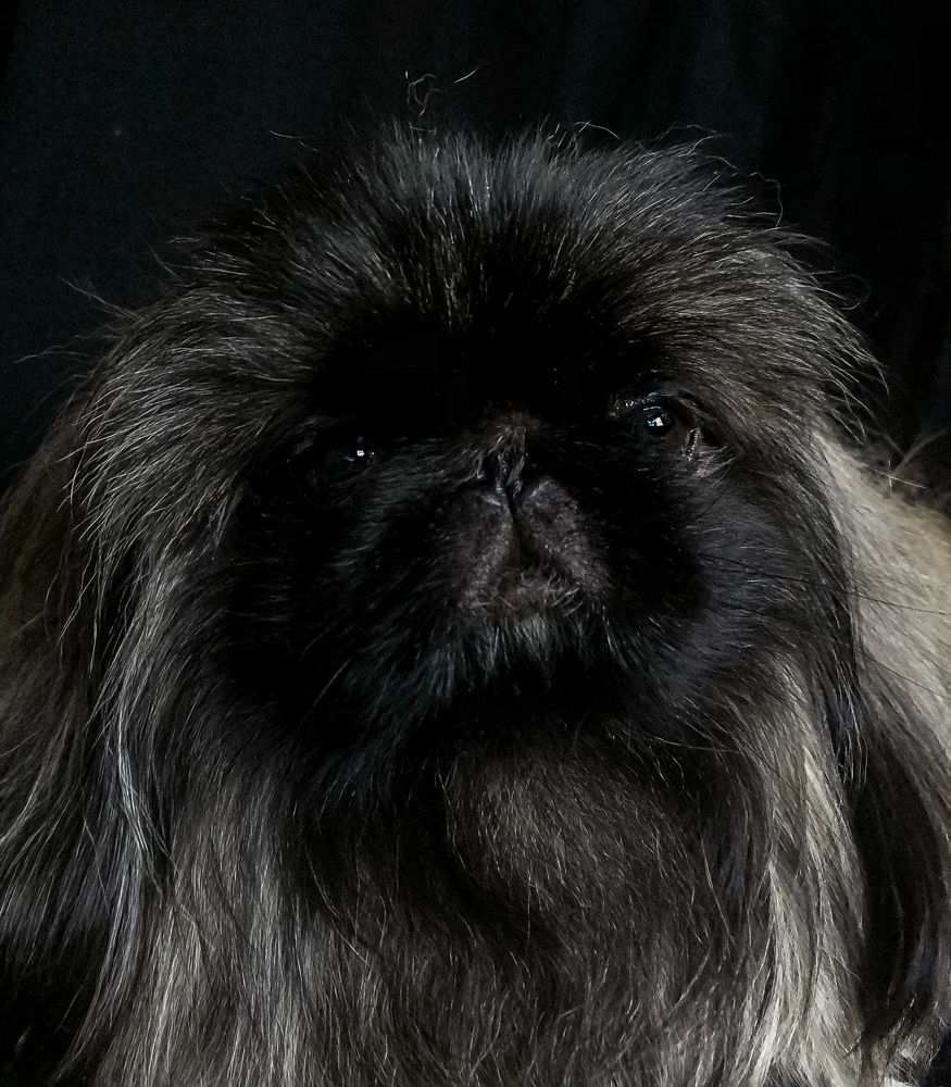 Photograph by Maria Yeromina