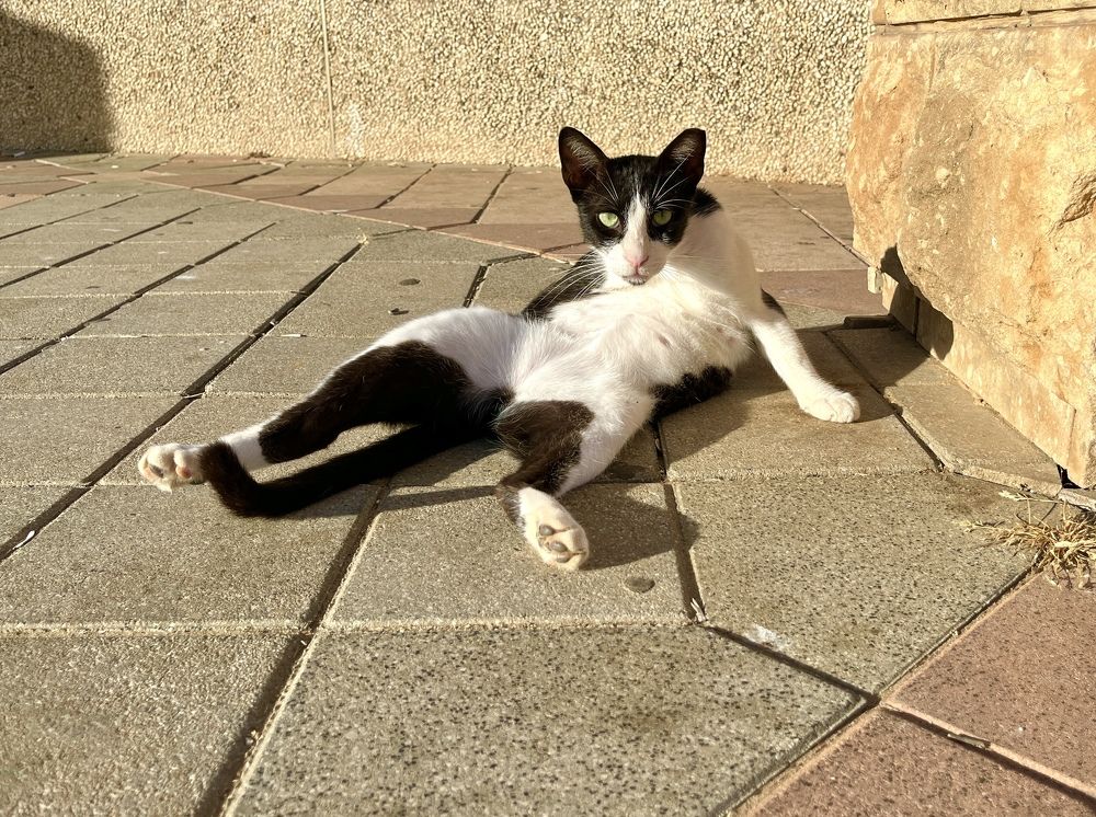 Photograph by Uri Yerochov