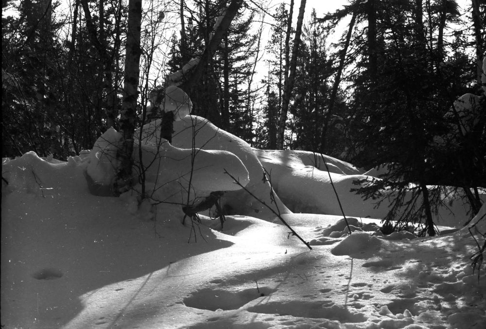 Рука зимы...! Причуды Матушки-Зимы...!