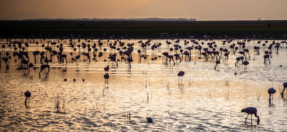 Photograph by Galal Missary