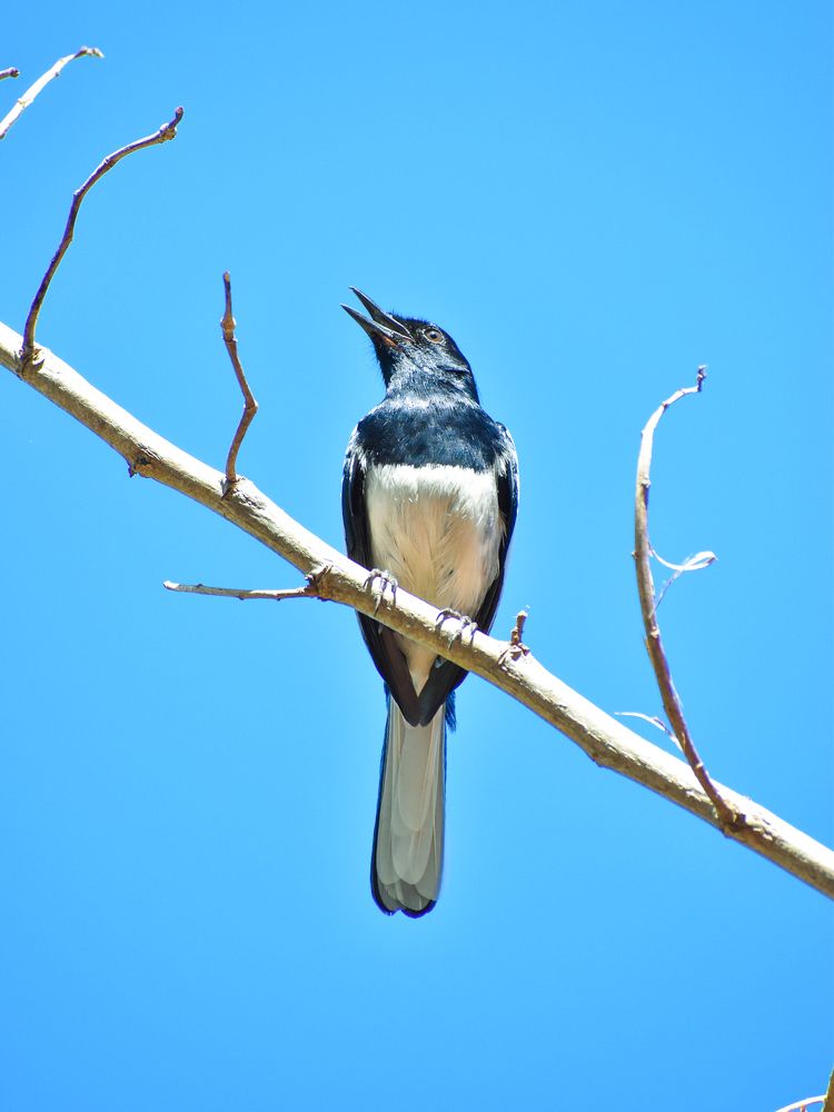 Photograph by Dinuka Sachintha