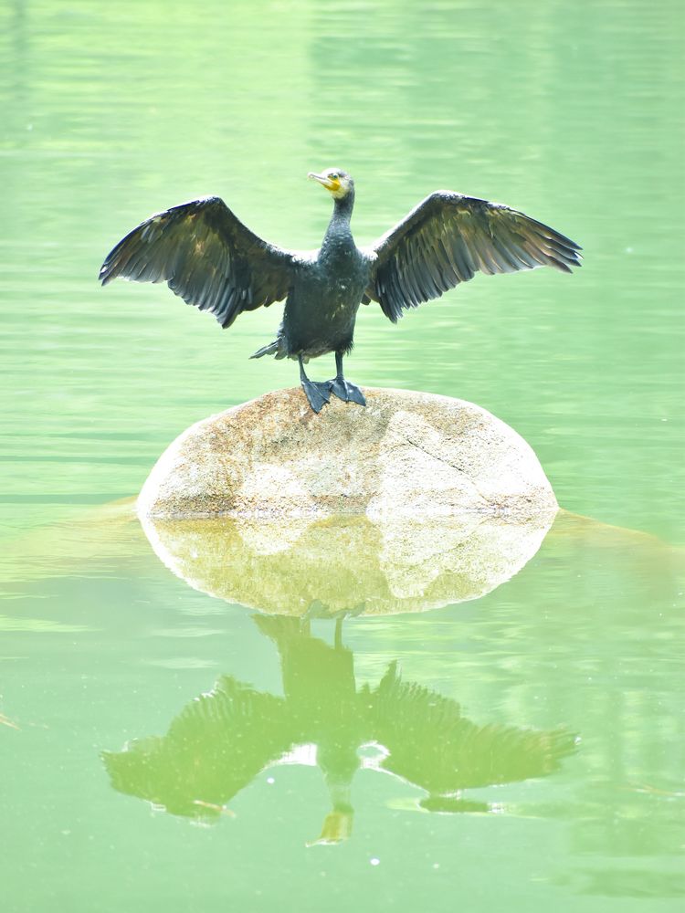 Photograph by Dinuka Sachintha