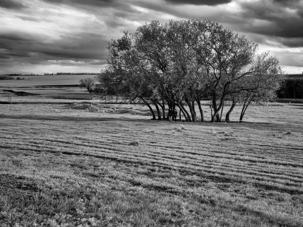 Photograph by Дарья Кривоножкина