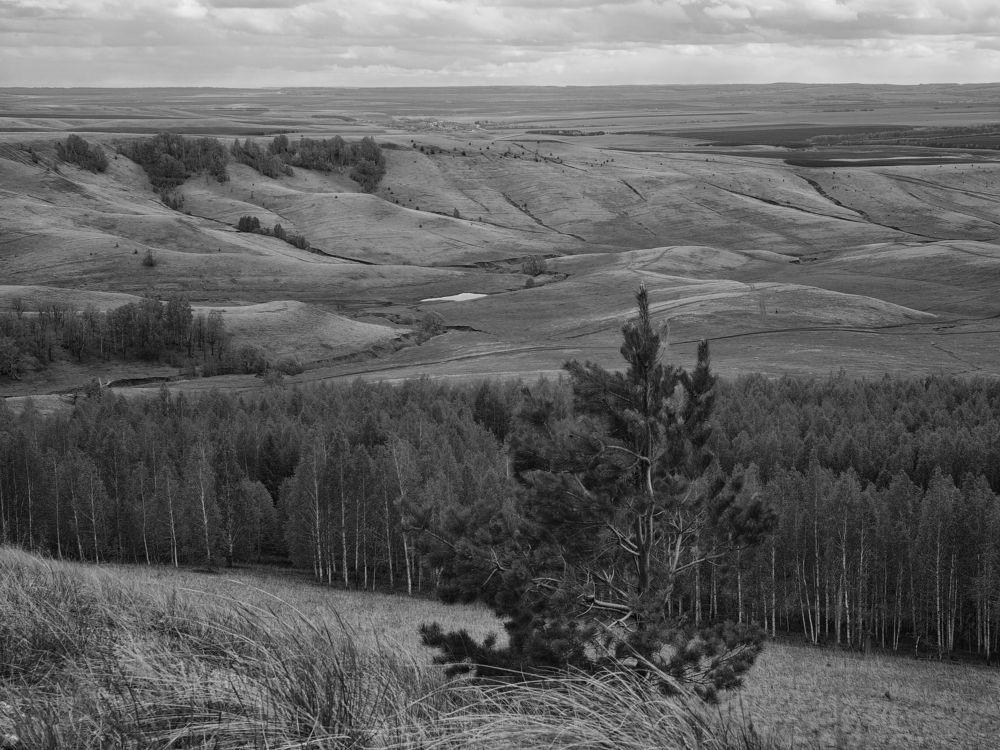 Photograph by Дарья Кривоножкина