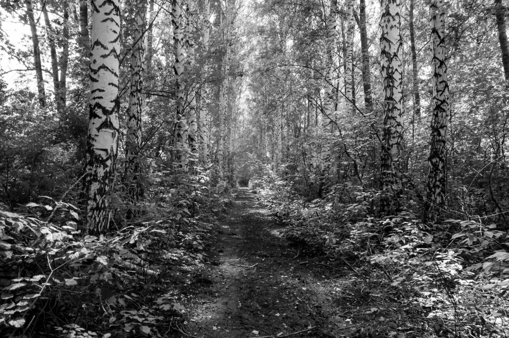 Photograph by Igor Kochkin