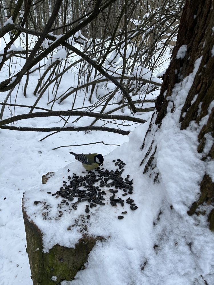 С какого начать...?!