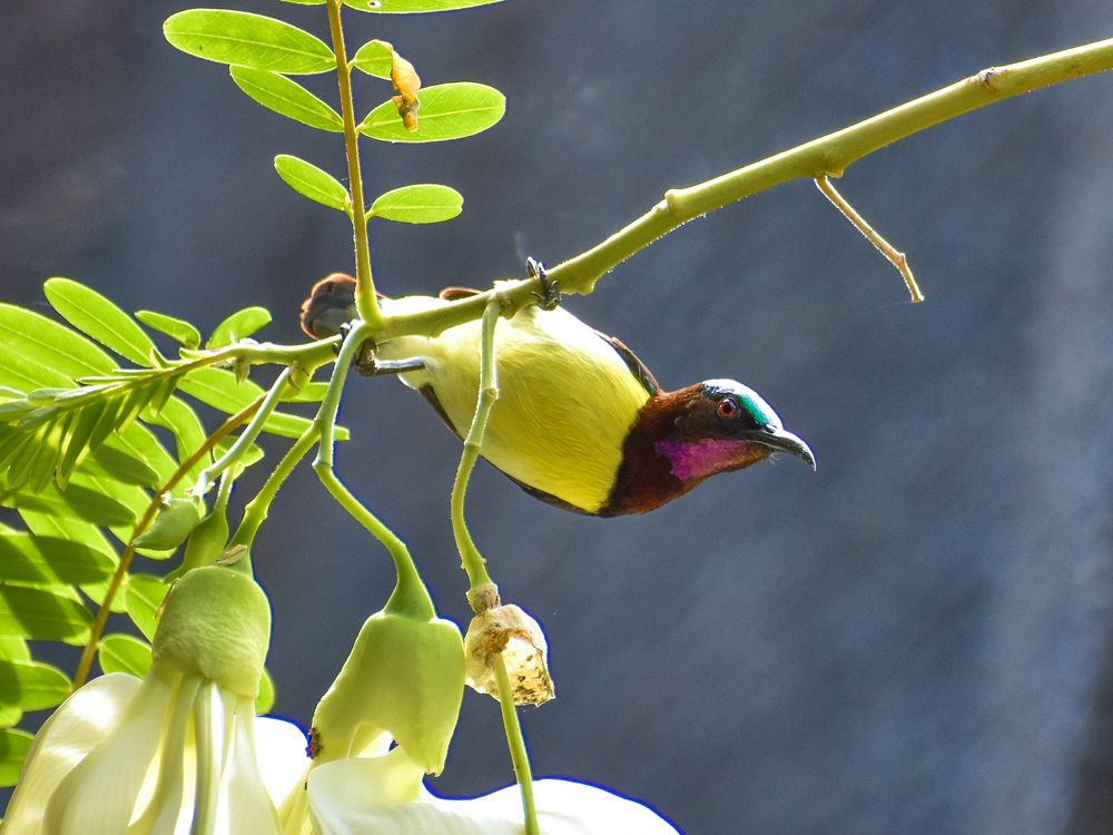 Photograph by Dinuka Sachintha