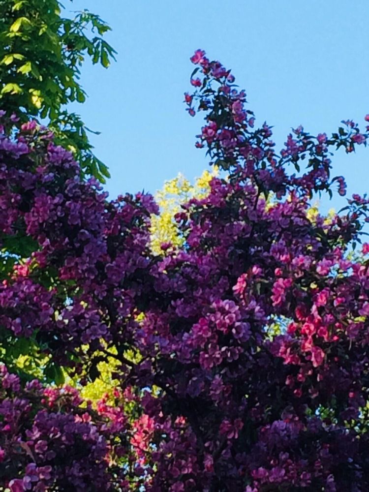 Photograph by Антонина