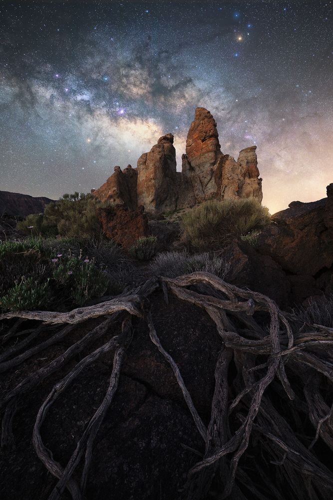 Photograph by Roksolyana Hilevych