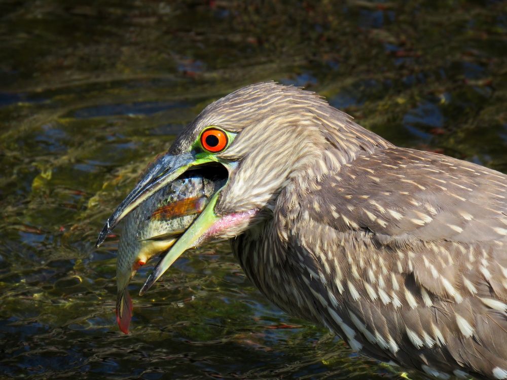 Photograph by Yi Tang Wang