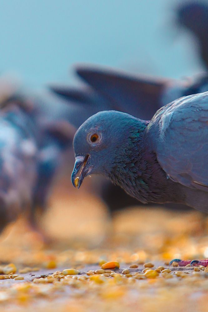 The struggle of life is to satisfy ur hunger