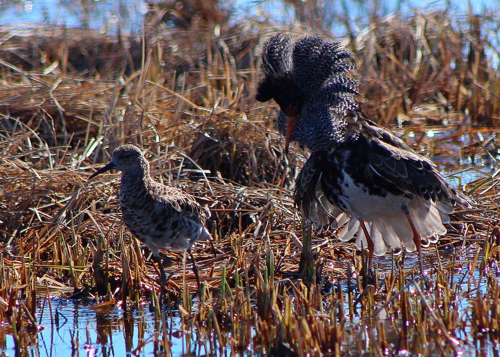 Photograph by Александр Велигура
