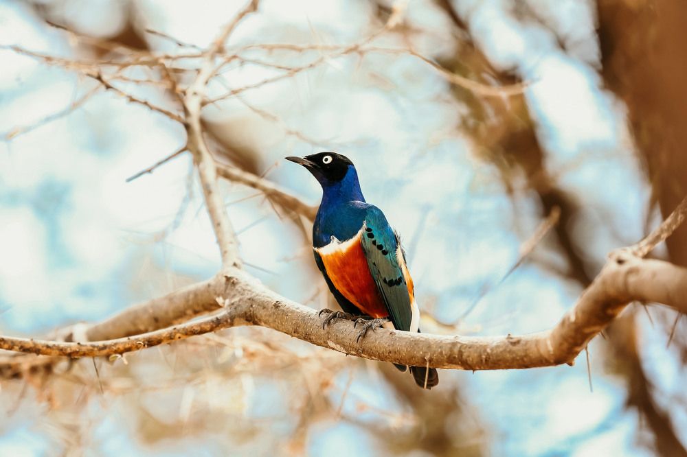 Photograph by Sylvester David