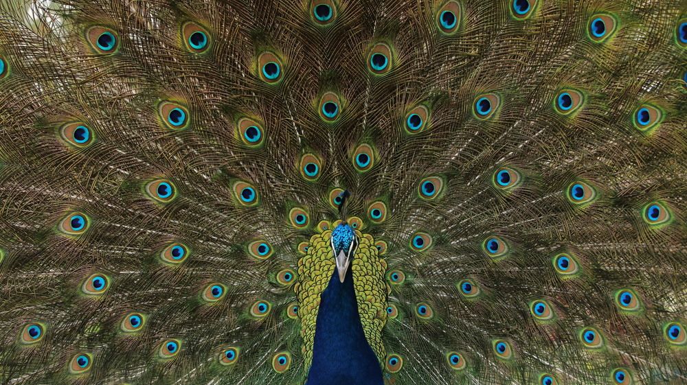 Photograph by Nada Elbatran