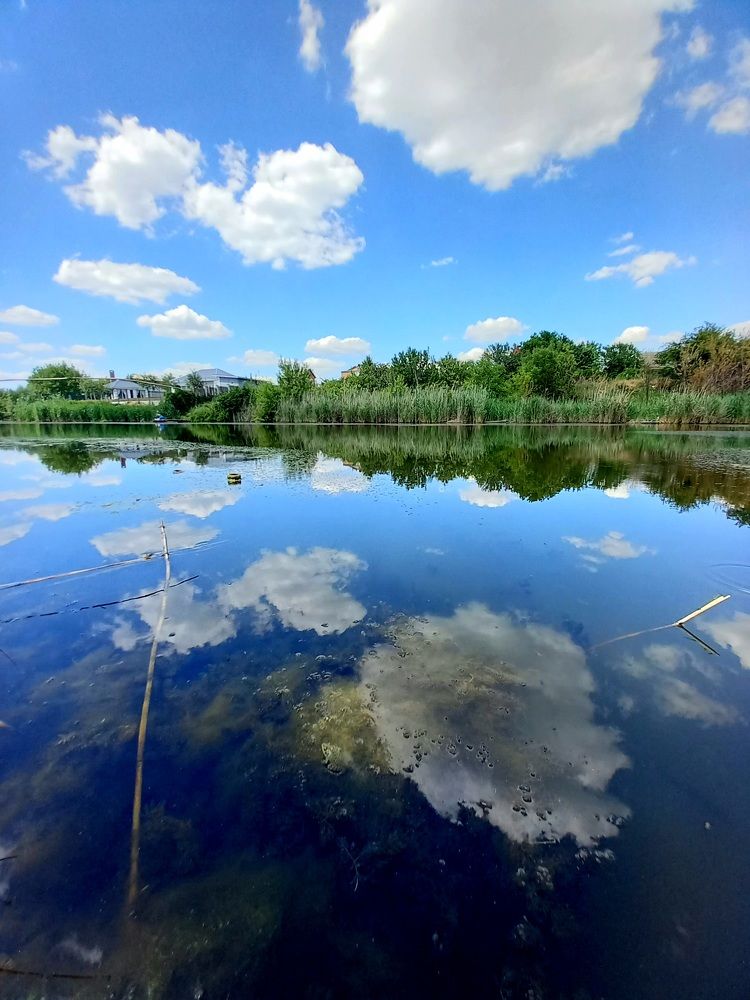 Photograph by Ольга Шевцова