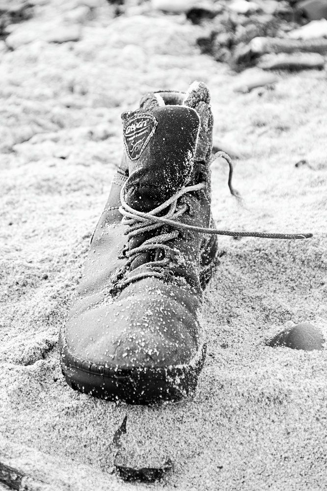 Photograph by Peter Hayes