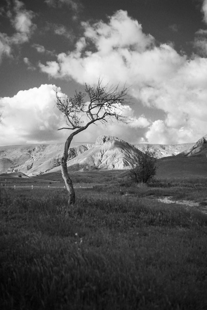 Photograph by Анна Изюмская