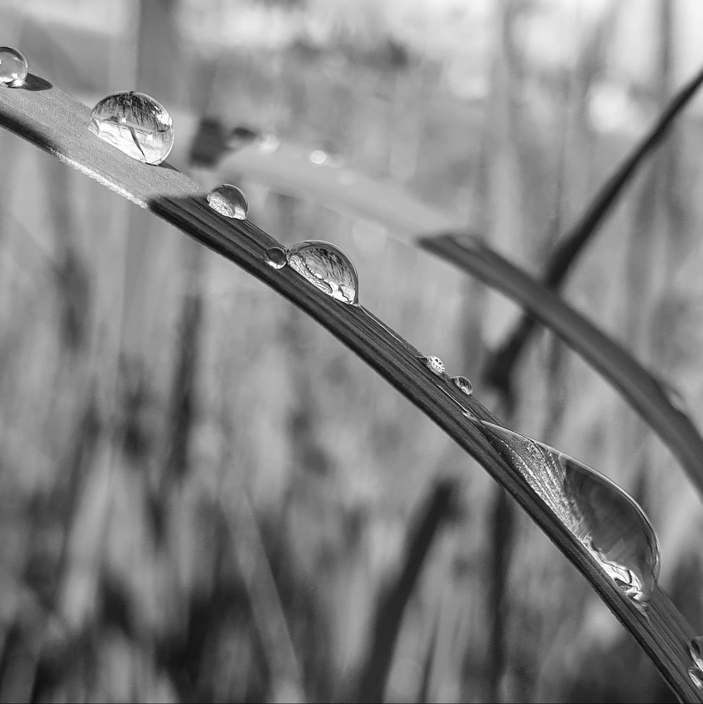 Photograph by Дарья Кривоножкина