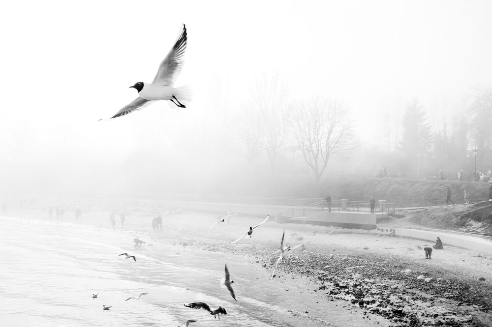 Photograph by Ania Wojciechowska