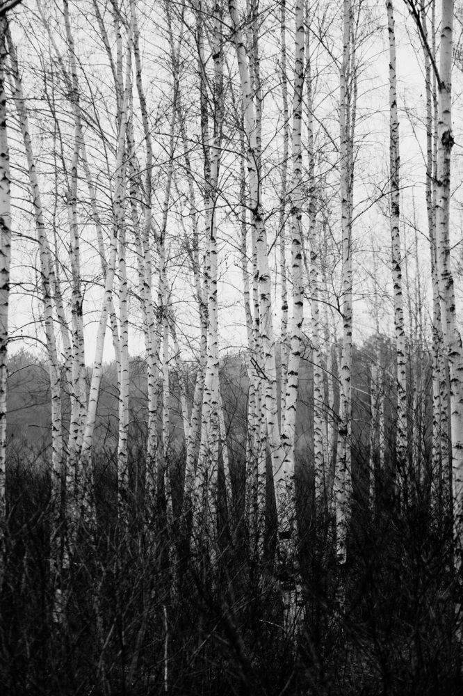 Photograph by Анна Изюмская