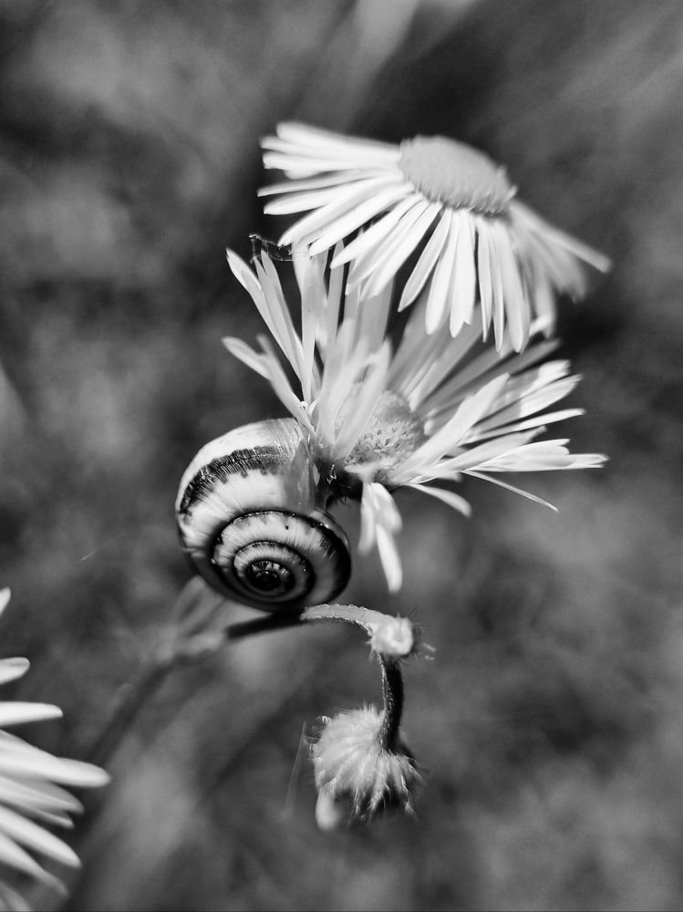 Photograph by Дарья Кривоножкина