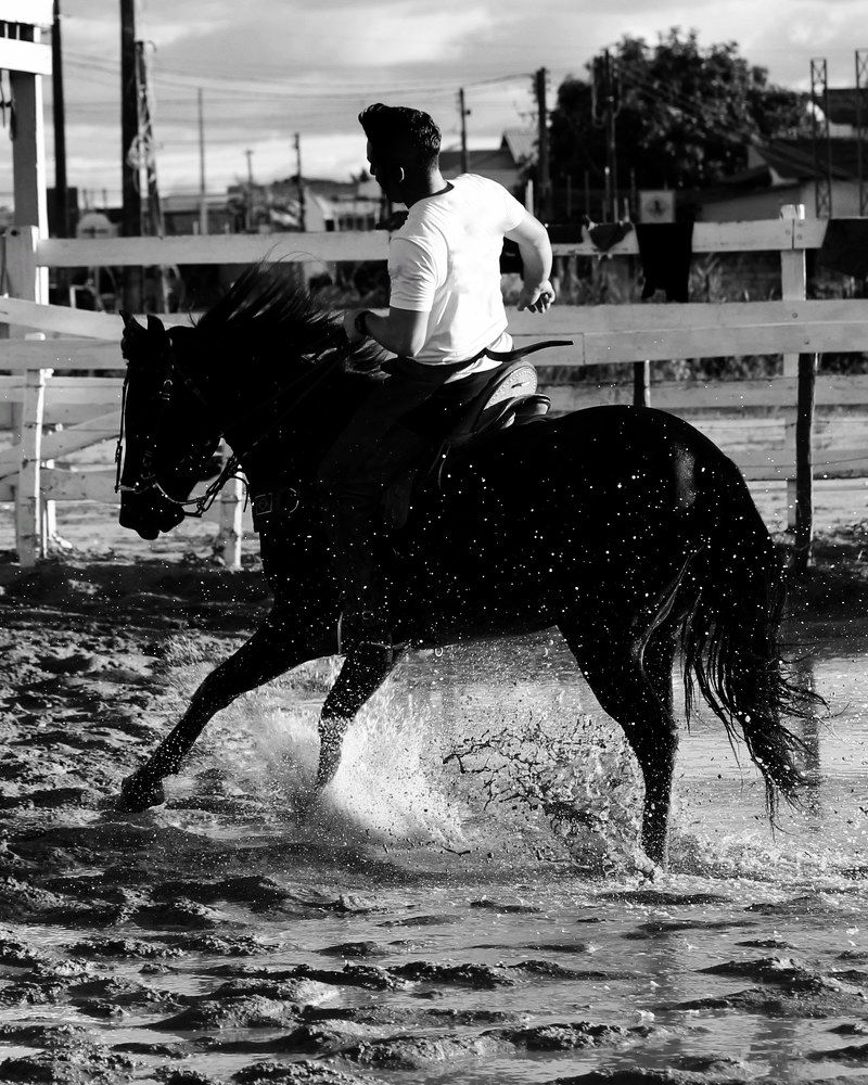 O vaqueiro (The cowboy)