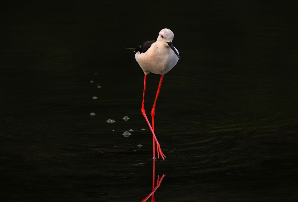 Photograph by G N RAJA