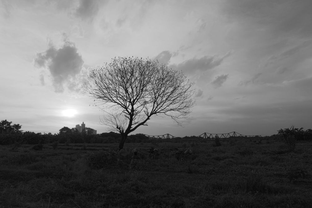 Фотография автора An Nguyen Quoc