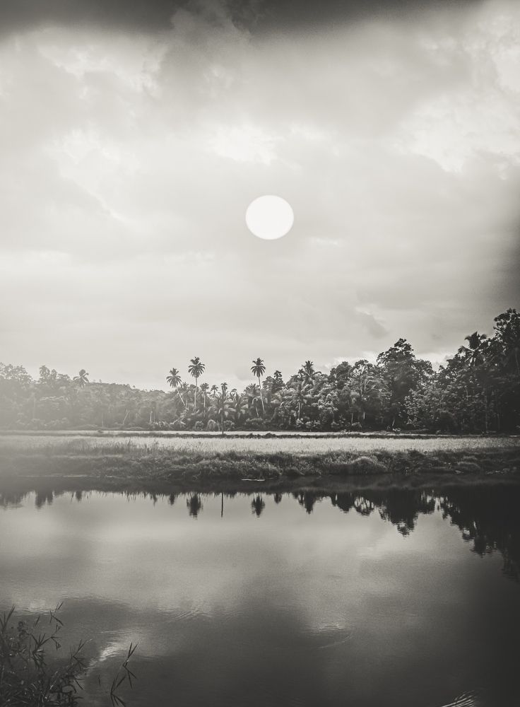 Photograph by Hewage K-vin R