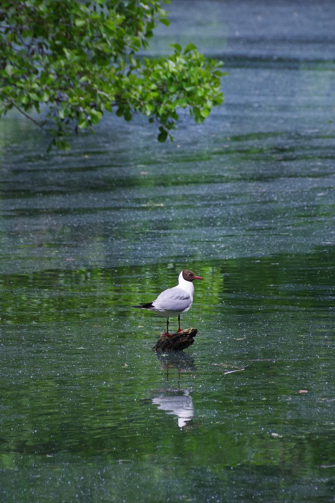 Photograph by Елена Щитова