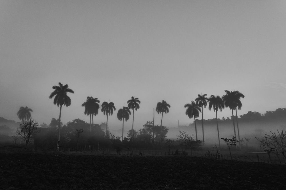 Photograph by Ryanny Torna