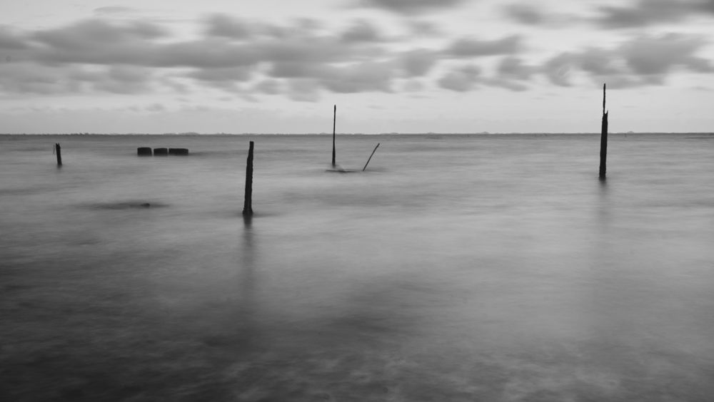 Photograph by Ryanny Torna