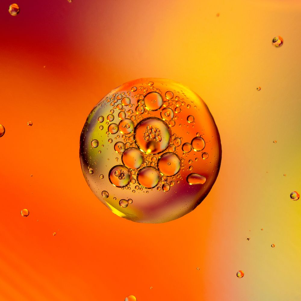 Фотография автора Елена Ельшина