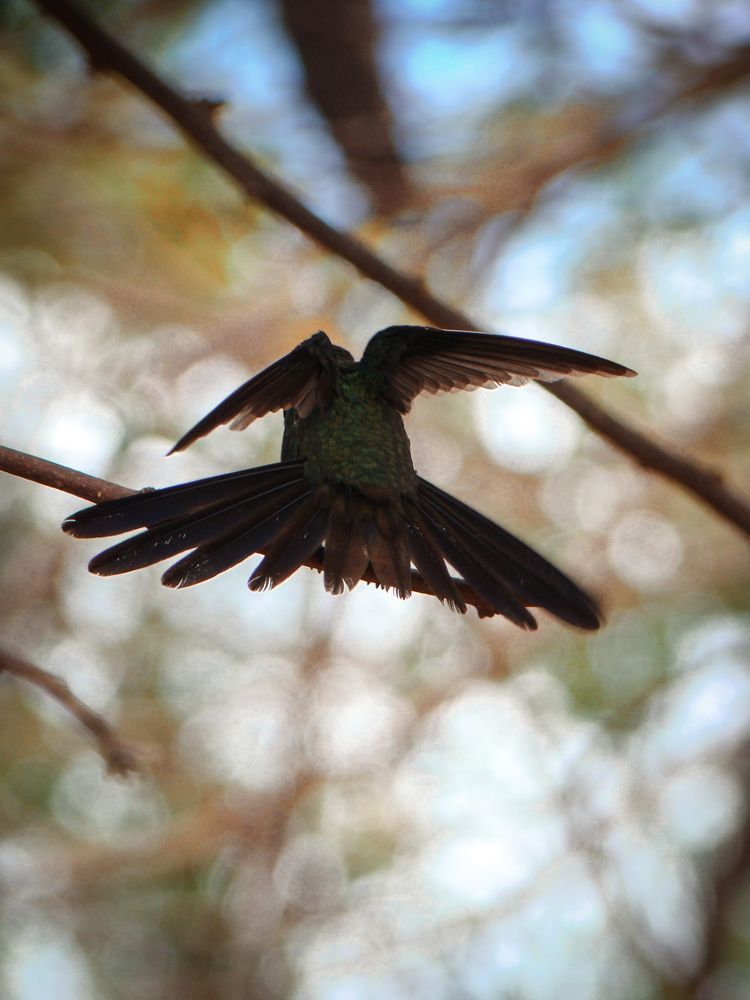 Photograph by Alejandro Leyva Rivas