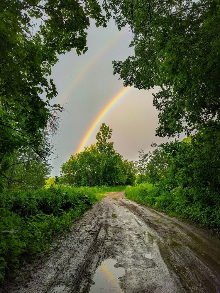 Photograph by Светлана Кондрашова