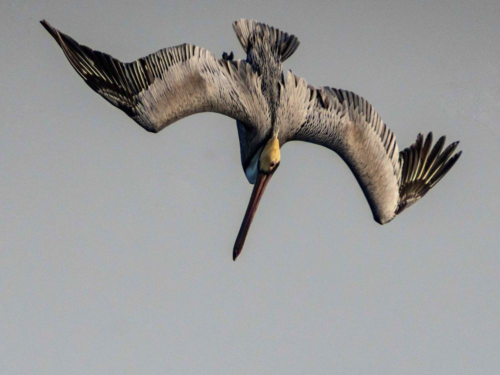 Photograph by Ryanny Torna