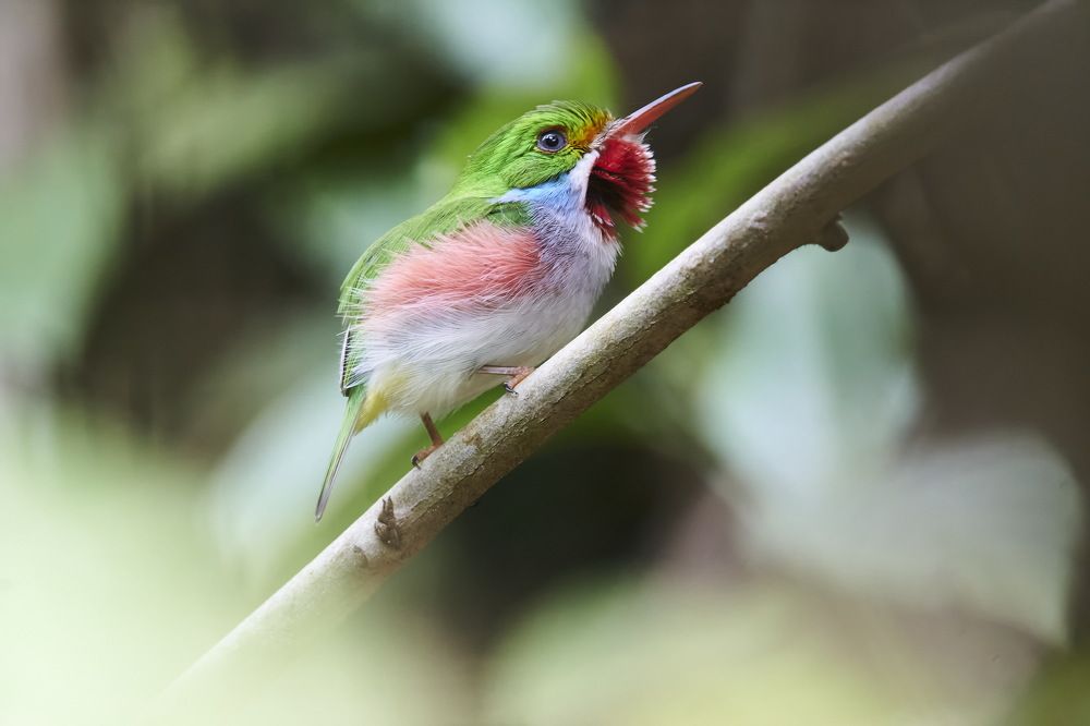 Photograph by Ryanny Torna