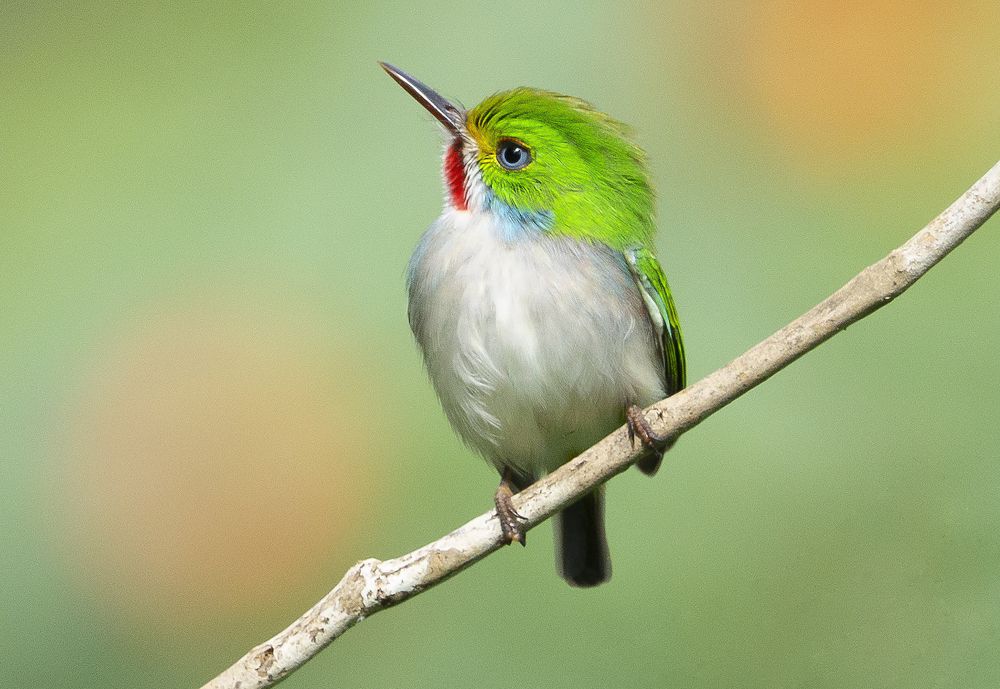 Photograph by Ryanny Torna