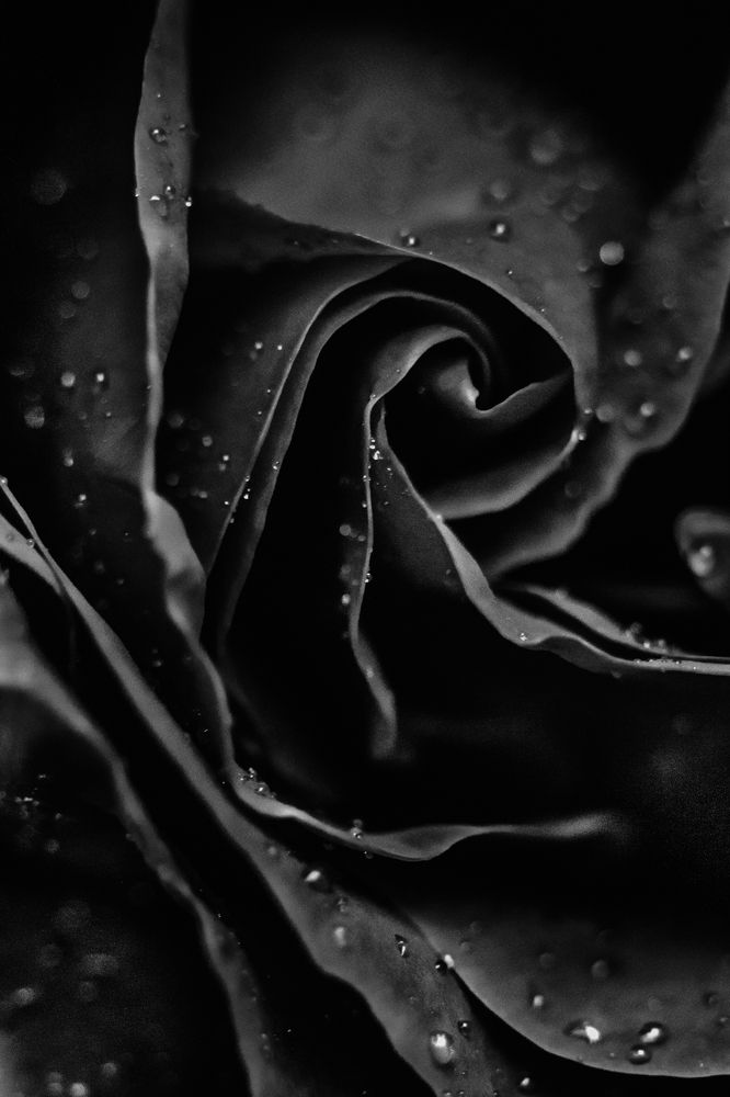 Photograph by Giorgos Charatsiaris