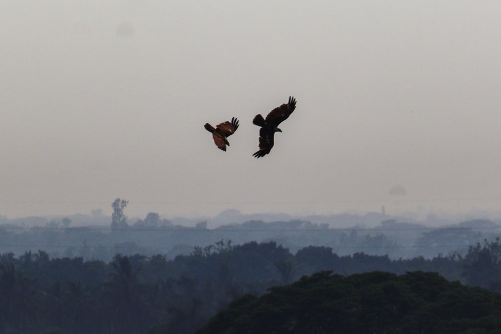 Photograph by Sadman Sakib